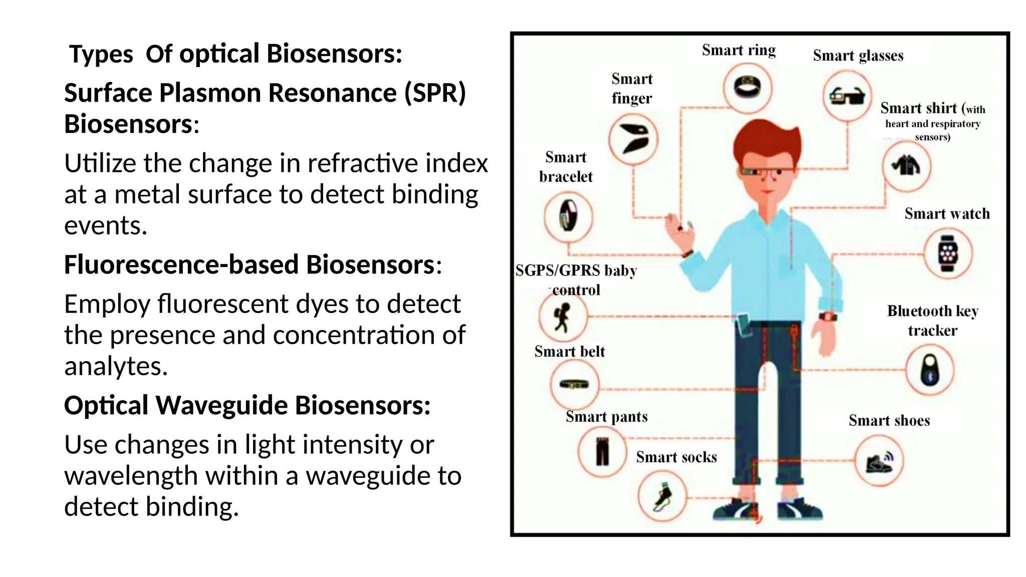Types Of optical Biosensors:
Surface Plasmon Resonance (SPR)
Biosensors:
Utilize the change in refractive index
at a metal surface to detect binding
events.
Fluorescence-based Biosensors:
Employ fluorescent dyes to detect
the presence and concentration of
analytes.
Optical Waveguide Biosensors:
Use changes in light intensity or
wavelength within a waveguide to
detect binding.
 