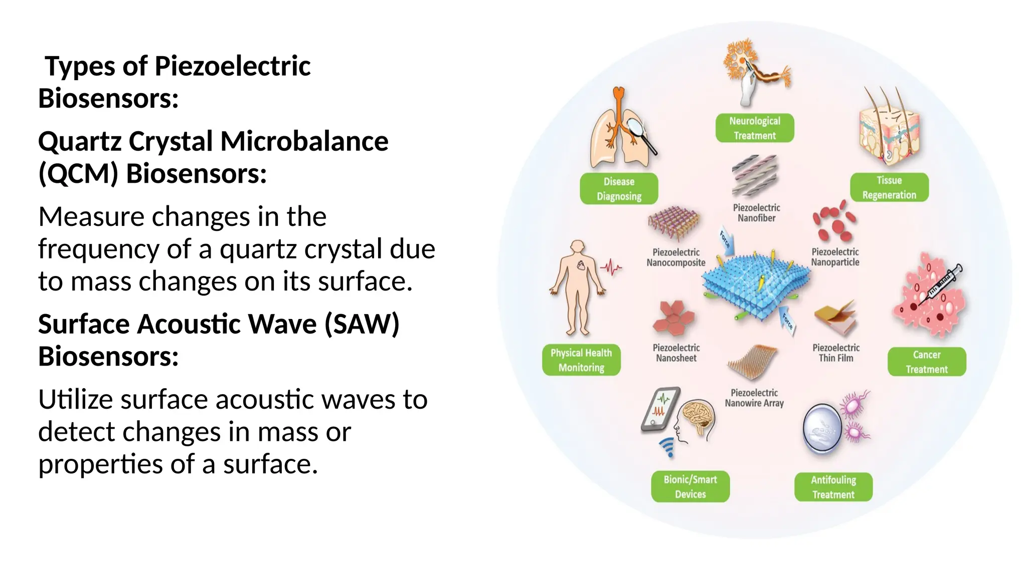 Types of Piezoelectric
Biosensors:
Quartz Crystal Microbalance
(QCM) Biosensors:
Measure changes in the
frequency of a quartz crystal due
to mass changes on its surface.
Surface Acoustic Wave (SAW)
Biosensors:
Utilize surface acoustic waves to
detect changes in mass or
properties of a surface.
 