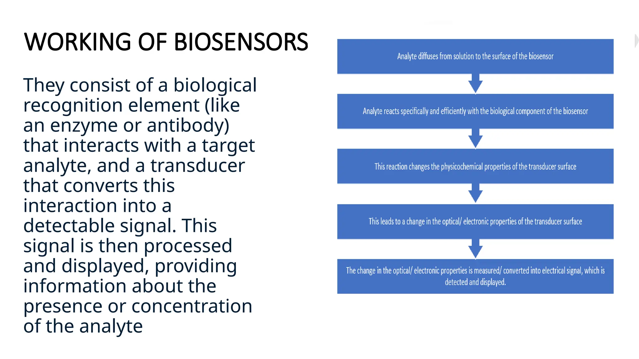 WORKING OF BIOSENSORS
They consist of a biological
recognition element (like
an enzyme or antibody)
that interacts with a target
analyte, and a transducer
that converts this
interaction into a
detectable signal. This
signal is then processed
and displayed, providing
information about the
presence or concentration
of the analyte
 