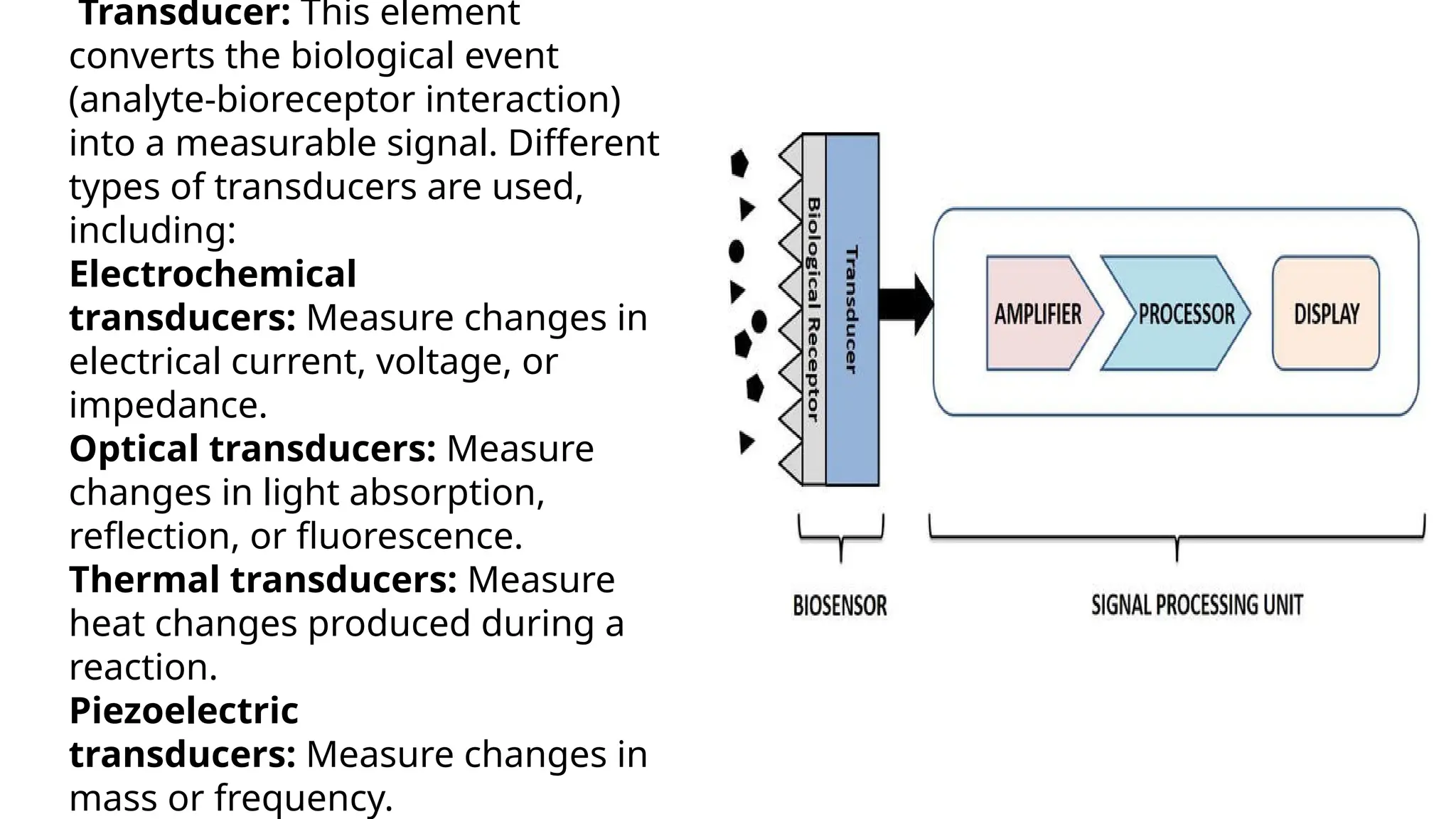 Transducer: This element
converts the biological event
(analyte-bioreceptor interaction)
into a measurable signal. Different
types of transducers are used,
including:
Electrochemical
transducers: Measure changes in
electrical current, voltage, or
impedance.
Optical transducers: Measure
changes in light absorption,
reflection, or fluorescence.
Thermal transducers: Measure
heat changes produced during a
reaction.
Piezoelectric
transducers: Measure changes in
mass or frequency.
 