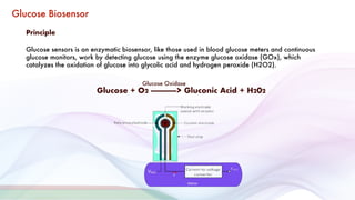 H2o2 Biosensor BioSensors glucose monitoring, cholestrol | PDF
