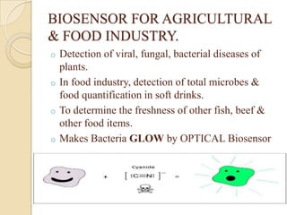 BIOSENSOR FOR AGRICULTURAL
& FOOD INDUSTRY.
o Detection of viral, fungal, bacterial diseases of
  plants.
o In food industry, detection of total microbes &
  food quantification in soft drinks.
o To determine the freshness of other fish, beef &
  other food items.
o Makes Bacteria GLOW by OPTICAL Biosensor
 