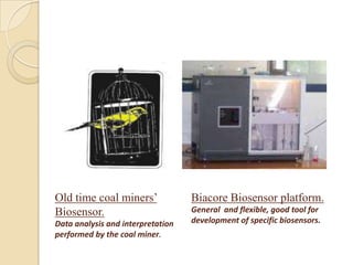 Old time coal miners’              Biacore Biosensor platform.
Biosensor.                         General and flexible, good tool for
Data analysis and interpretation   development of specific biosensors.
performed by the coal miner.
 