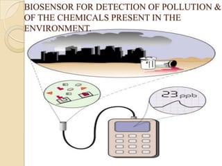 BIOSENSOR FOR DETECTION OF POLLUTION &
OF THE CHEMICALS PRESENT IN THE
ENVIRONMENT.
 