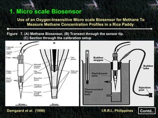 Biosensors and their Applications agriculture.ppt