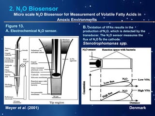 Biosensors and their Applications agriculture.ppt