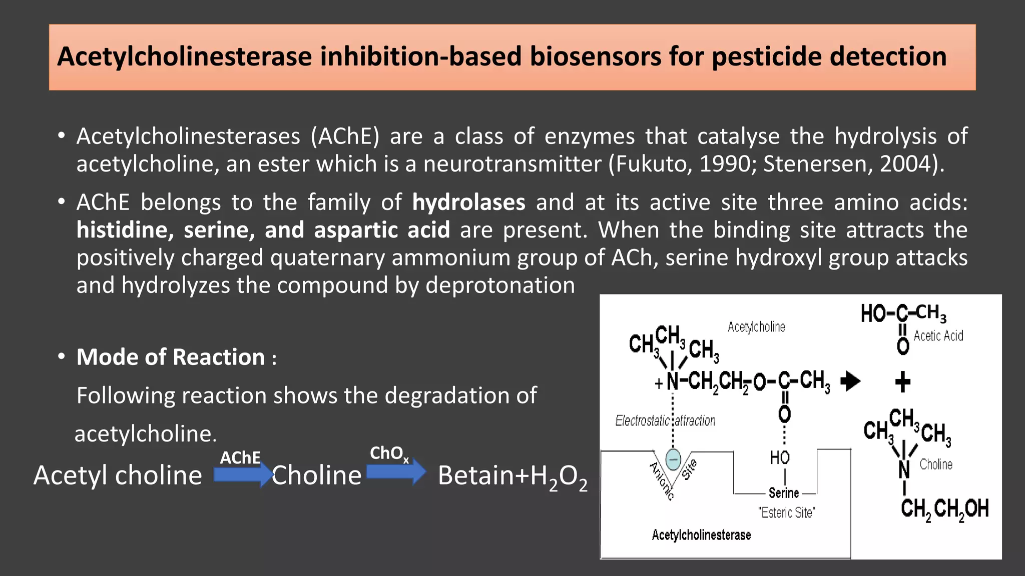 Enzyme based Biosensor for pesticide Detection | PPTX