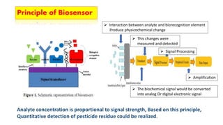 Principle of Biosensor
 Interaction between analyte and biorecognition element
Produce physicochemical change
 This changes were
measured and detected
 The biochemical signal would be converted
into analog Or digital electronic signal
 Signal Processing
 Amplification
Analyte concentration is proportional to signal strength, Based on this principle,
Quantitative detection of pesticide residue could be realized.
 