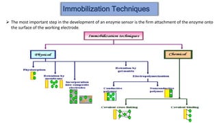 Immobilization Techniques
 The most important step in the development of an enzyme sensor is the firm attachment of the enzyme onto
the surface of the working electrode.
 
