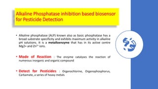 Alkaline Phosphatase inhibition based biosensor
for Pesticide Detection
• Alkaline phosphatase (ALP) known also as basic phosphatase has a
broad substrate specificity and exhibits maximum activity in alkaline
pH solutions. It is a metalloenzyme that has in its active centre
Mg2+ and Zn2+ ions.
• Mode of Reaction : The enzyme catalyses the reaction of
numerous inorganic and organic compound
• Detect for Pesticides : Organochlorine, Organophosphorus,
Carbamate, a series of heavy metals
 