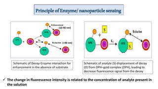 PrincipleofEnzyme/nanoparticlesensing
(10-40 nm)
(>40 nm)
Schematic of Decoy-Enzyme interaction for
enhancement in the absence of substrate.
Schematic of analyte (S) displacement of decoy
(D) from OPH–gold complex (OPH), leading to
decrease fluorescence signal from the decoy
 The change in fluorescence intensity is related to the concentration of analyte present in
the solution
 