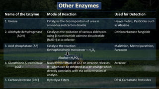 Other Enzymes
Name of the Enzyme Mode of Reaction Used for Detection
1. Urease Catalyzes the decomposition of urea in
ammonia and carbon dioxide
Heavy metals, Pesticides such
as Atrazine
2. Aldehyde dehydrogenase
(ADH)
Catalyses the oxidation of various aldehydes
using β-nicotinamide adenine dinucleotide
(NAD+) as a cofactor
Dithiocarbamate fungicide
3. Acid phosphatase (AP) Catalyse the reaction:
Orthophosphoric monoester + H2O2
Alcohol+ H3PO4
Malathion, Methyl parathion,
Paraoxon
4. Glutathione-S-transferase
(GST)
Nucleophilic attack of GST on atrazine releases
H+ which can be detected as a pH change which
directly correlates with the concentration of
analyte.
Atrazine
5. Carboxylesterase (CBE) Hydrolyse Esters OP & Carbamate Pesticides
 
