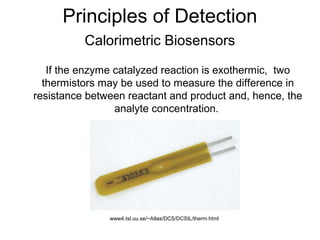 Principles of Detection
Calorimetric Biosensors
If the enzyme catalyzed reaction is exothermic, two
thermistors may be used to measure the difference in
resistance between reactant and product and, hence, the
analyte concentration.
www4.tsl.uu.se/~Atlas/DCS/DCSIL/therm.html
 