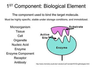 1ST
Component: Biological Element
Microorganism
Tissue
Cell
Organelle
Nucleic Acid
Enzyme
Enzyme Component
Receptor
Antibody
The component used to bind the target molecule.
http://www.chemistry.wustl.edu/~edudev/LabTutorials/HIV/DrugStrategies.html
Must be highly specific, stable under storage conditions, and immobilized.
 