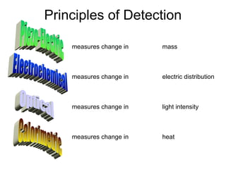 Principles of Detection
measures change in mass
measures change in electric distribution
measures change in light intensity
measures change in heat
 