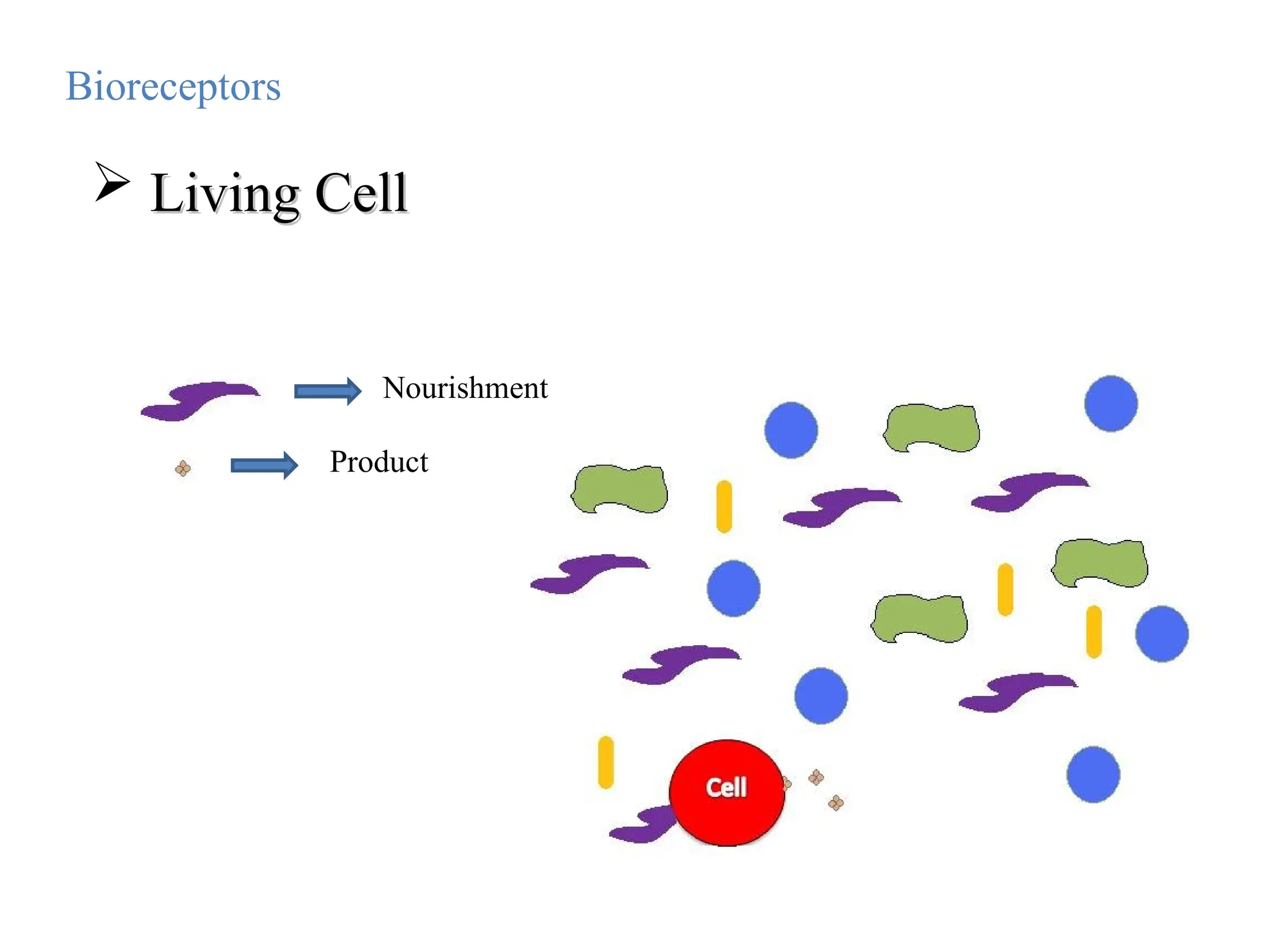 Nourishment
Product
Bioreceptors
 Living Cell
Living Cell
 