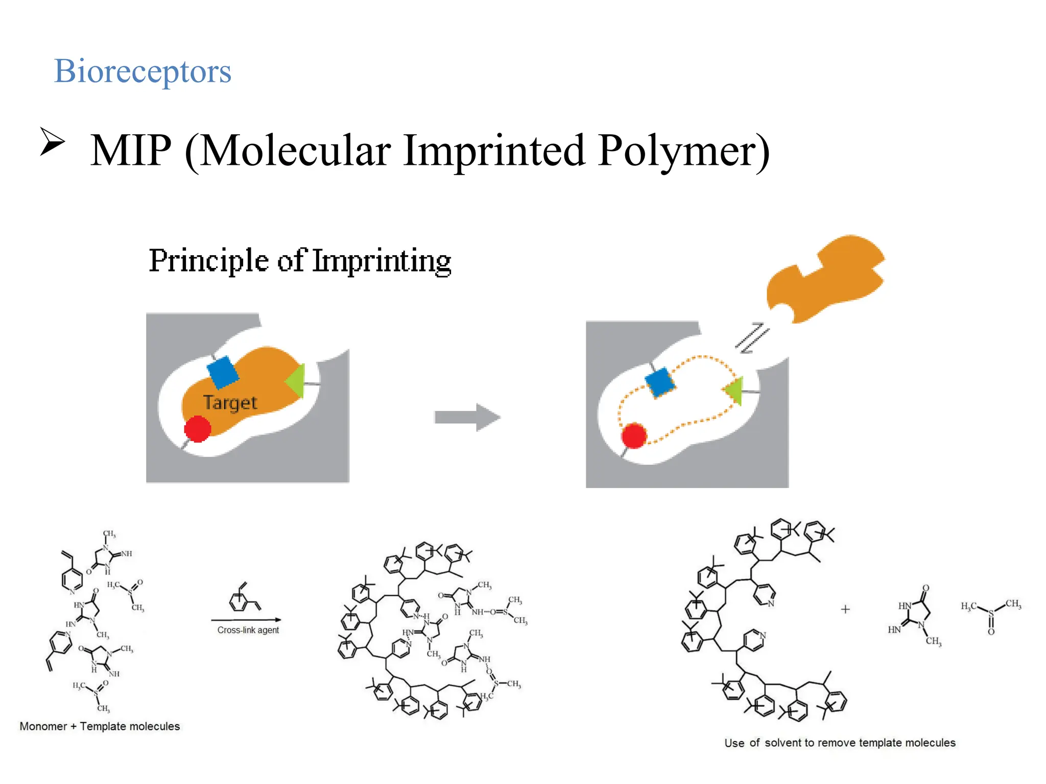 Bioreceptors
 MIP (Molecular Imprinted Polymer)
 