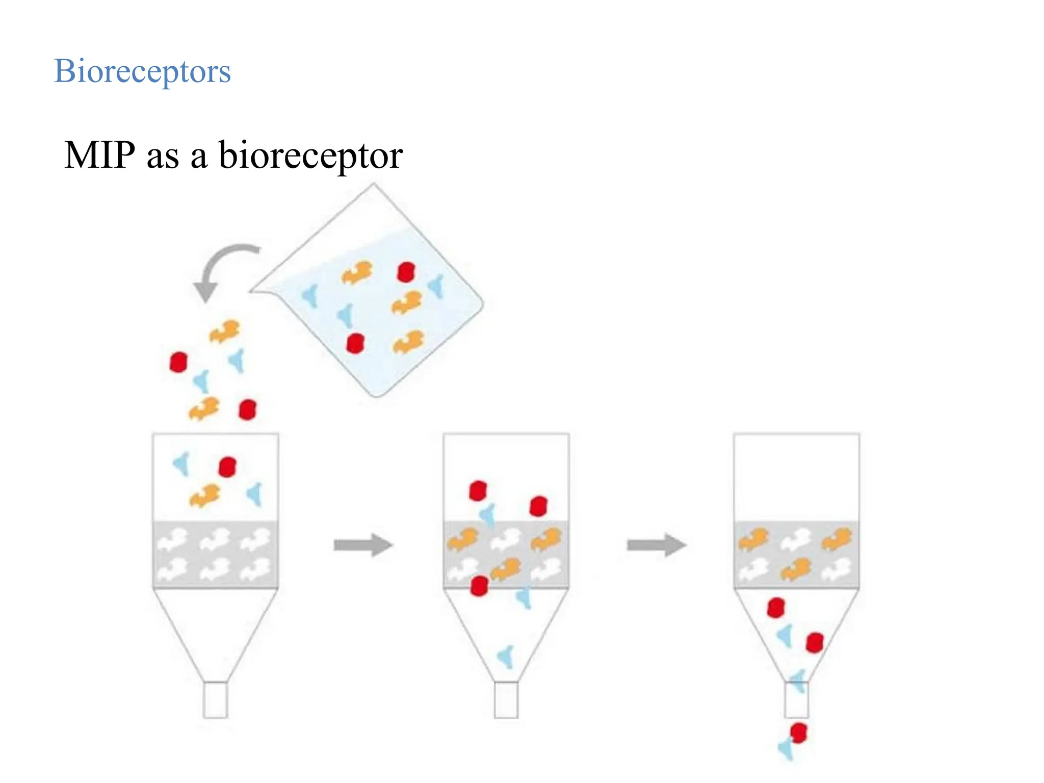 MIP as a bioreceptor
Bioreceptors
 