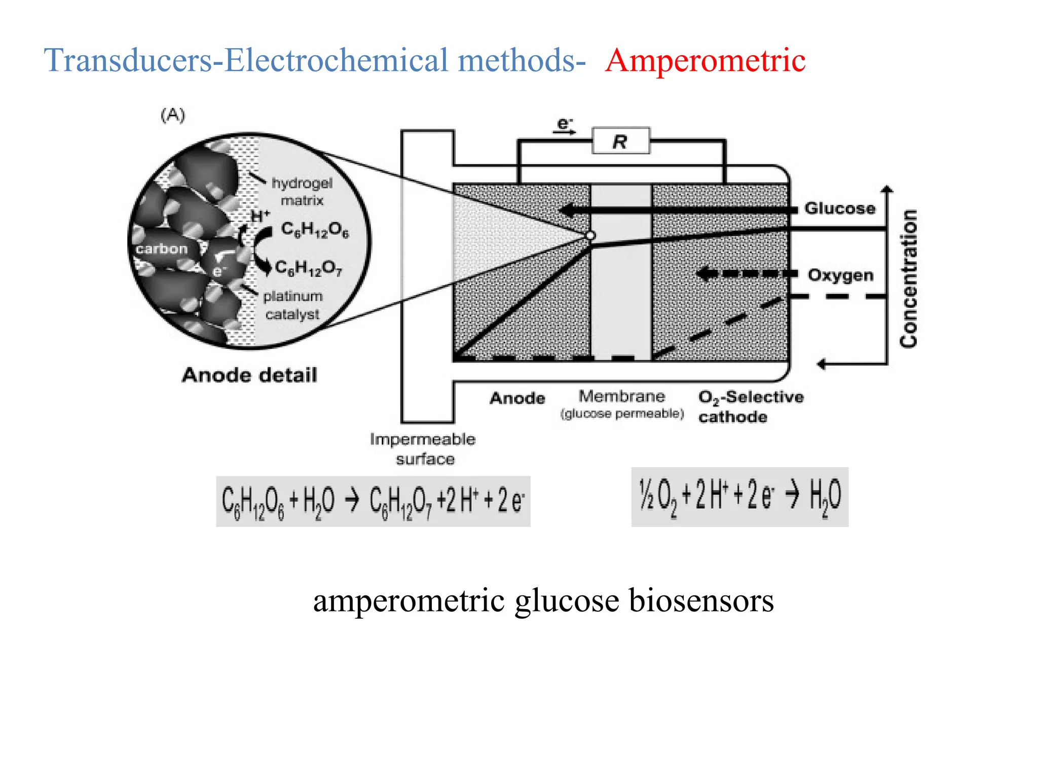 Transducers-Electrochemical methods- Amperometric
amperometric glucose biosensors
 