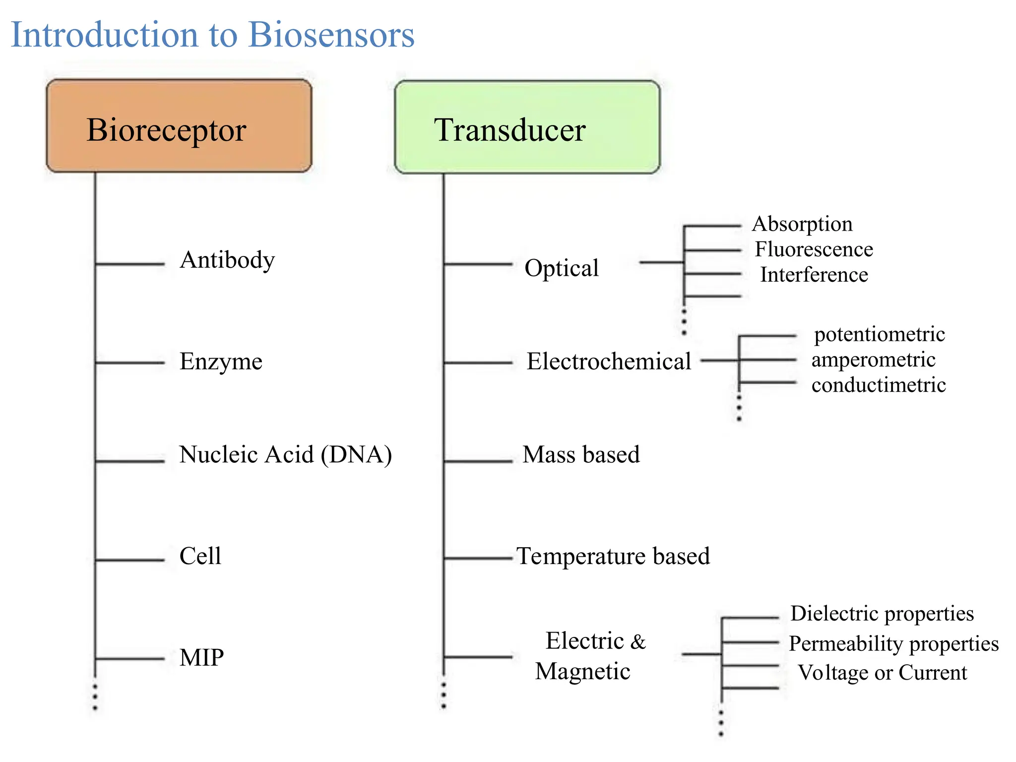Introduction to Biosensors
Bioreceptor Transducer
Antibody
Enzyme
Nucleic Acid (DNA)
Cell
MIP
Optical
Electrochemical
Mass based
Temperature based
potentiometric
amperometric
conductimetric
Electric &
Magnetic
Dielectric properties
Permeability properties
Voltage or Current
Fluorescence
Interference
Absorption
 