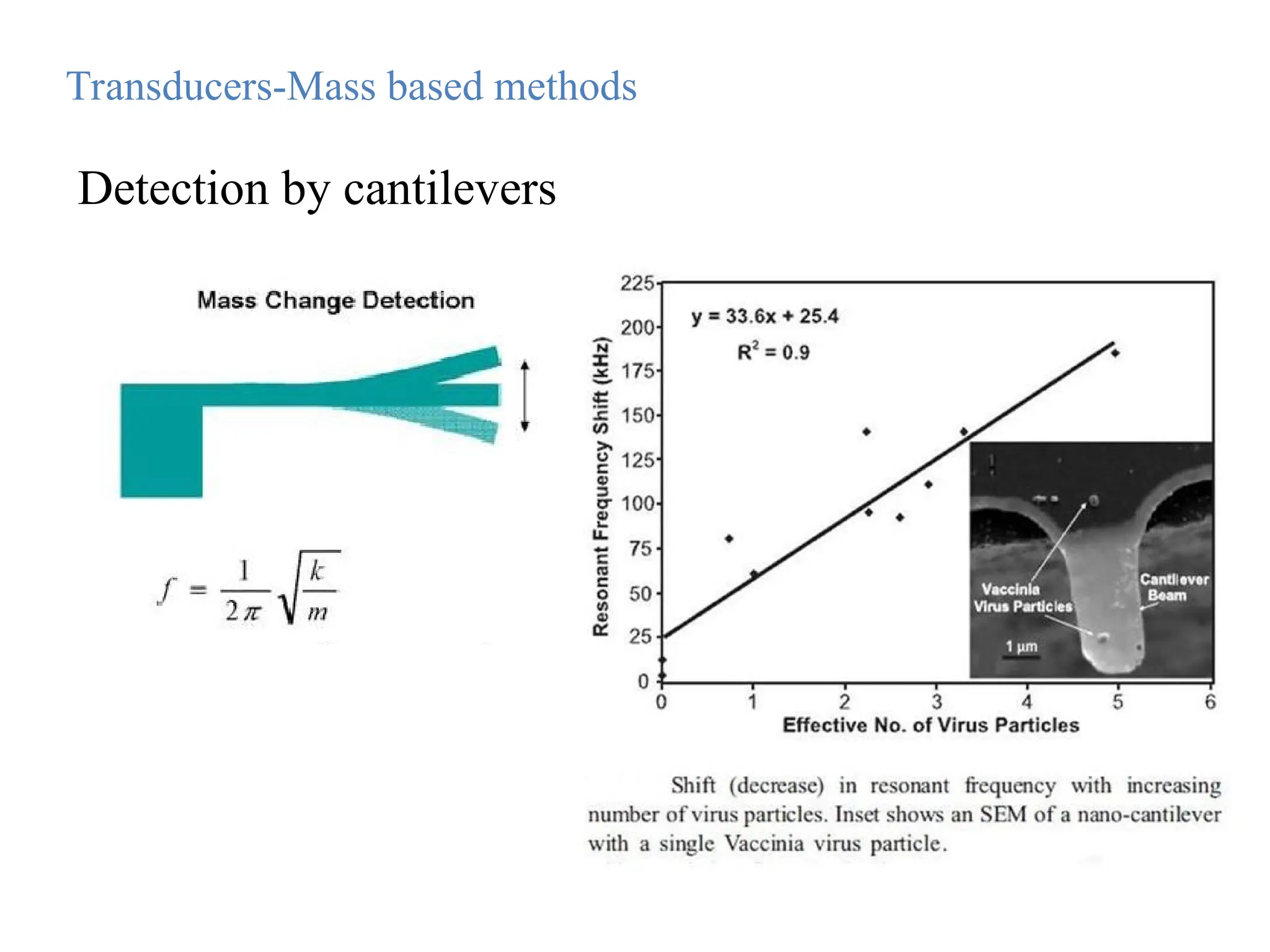 Detection by cantilevers
Transducers-Mass based methods
 