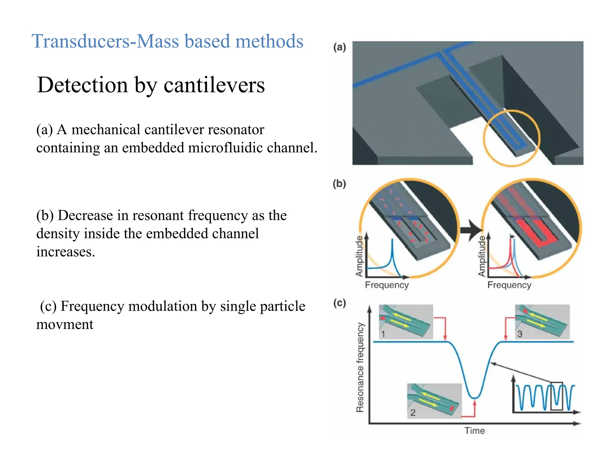 (b) Decrease in resonant frequency as the
density inside the embedded channel
increases.
(c) Frequency modulation by single particle
movment
(a) A mechanical cantilever resonator
containing an embedded microfluidic channel.
Transducers-Mass based methods
Detection by cantilevers
 