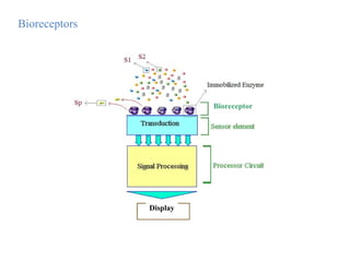 Biosensors Mechanism presentation powerpoint | PPT