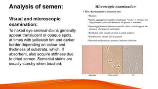 Analysis of semen:
To naked eye seminal stains generally
appear translucent or opaque spots,
at times with yellowish tint ...