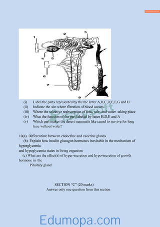(i) Label the parts represented by the the letter A,B,C,D,E,F,G and H
(ii) Indicate the site where filtration of blood occurs
(iii) Where the selective reabsorption of ions, salts and water taking place
(iv) What the function of the part labeled by letter H,D,E and A
(v) Which part makes the desert mammals like camel to survive for long
time without water?
10(a) Differentiate between endocrine and exocrine glands.
(b) Explain how insulin glucagon hormones inevitable in the mechanism of
hyperglycemia
and hypoglycemia states in living organism
(c) What are the effect(s) of hyper-secretion and hypo-secretion of growth
hormone in the
Pituitary gland
SECTION “C” (20 marks)
Answer only one question from this section
Edumopa.com
 