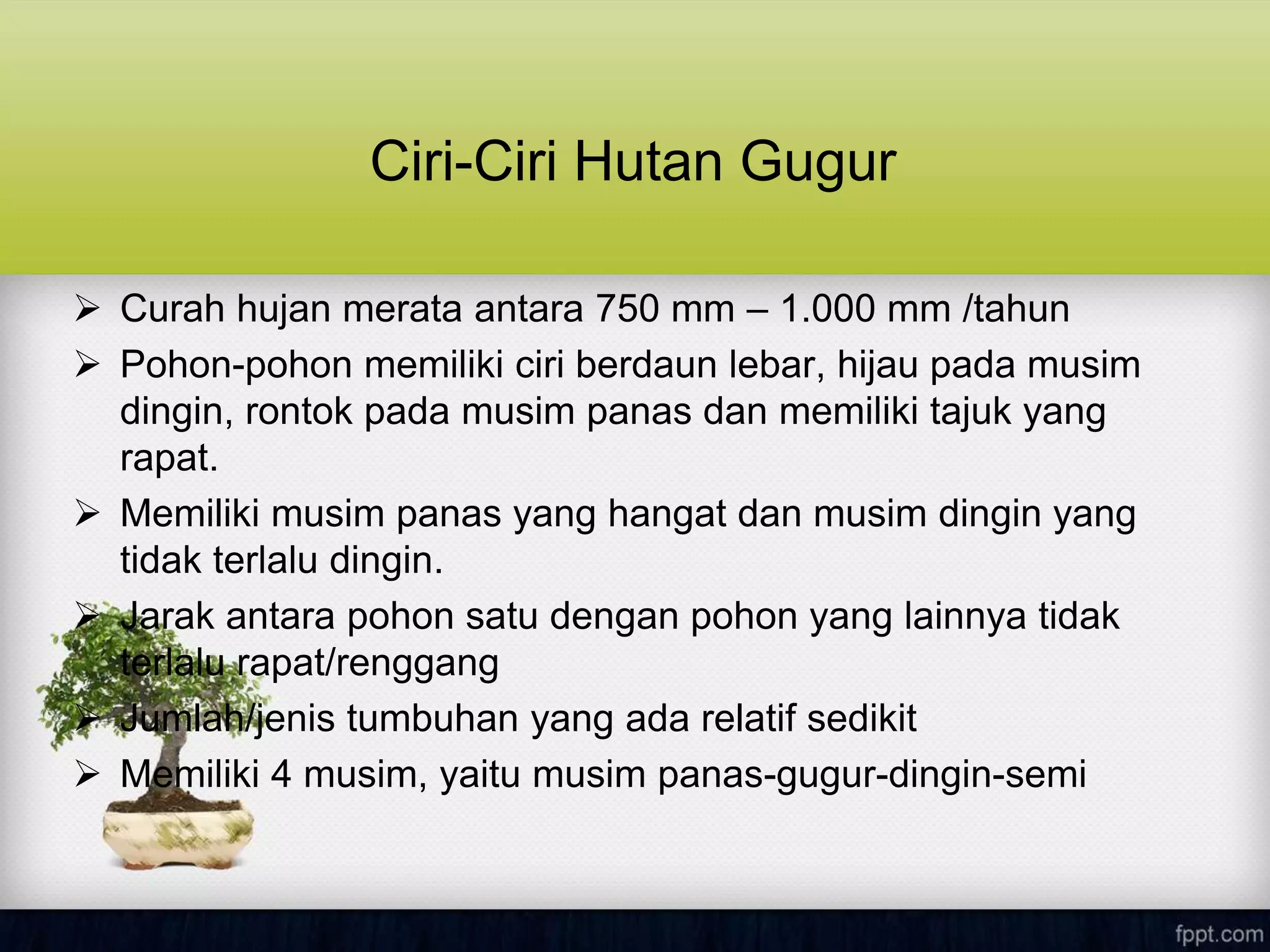 Ciri-Ciri Hutan Gugur
 Curah hujan merata antara 750 mm – 1.000 mm /tahun
 Pohon-pohon memiliki ciri berdaun lebar, hijau pada musim
dingin, rontok pada musim panas dan memiliki tajuk yang
rapat.
 Memiliki musim panas yang hangat dan musim dingin yang
tidak terlalu dingin.
 Jarak antara pohon satu dengan pohon yang lainnya tidak
terlalu rapat/renggang
 Jumlah/jenis tumbuhan yang ada relatif sedikit
 Memiliki 4 musim, yaitu musim panas-gugur-dingin-semi
 