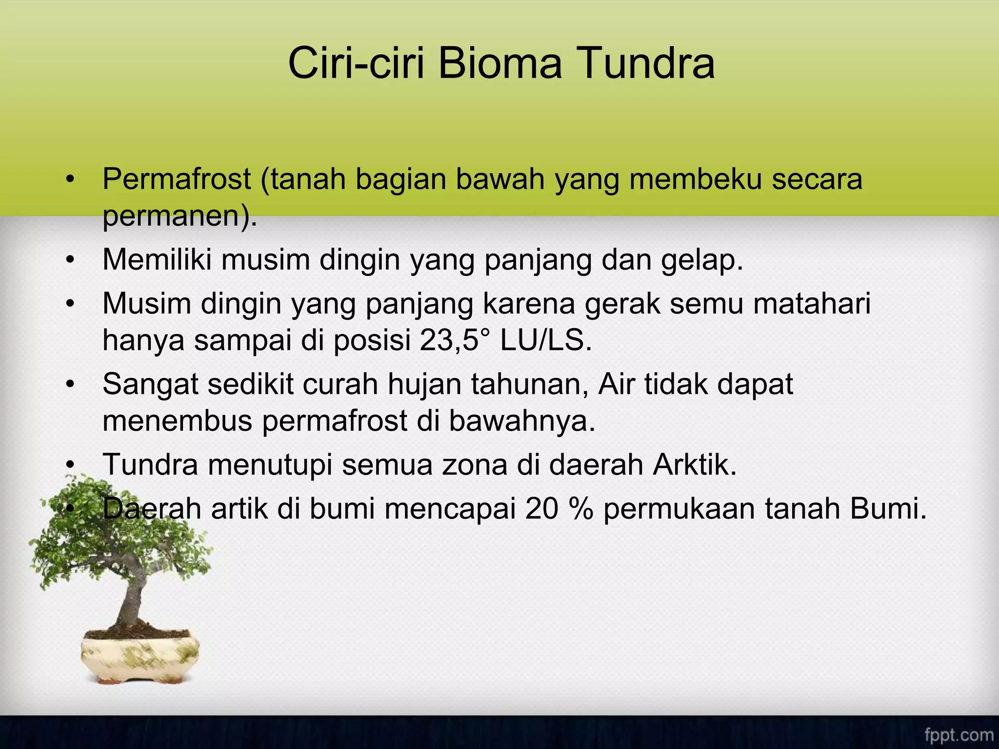 Ciri-ciri Bioma Tundra
• Permafrost (tanah bagian bawah yang membeku secara
permanen).
• Memiliki musim dingin yang panjang dan gelap.
• Musim dingin yang panjang karena gerak semu matahari
hanya sampai di posisi 23,5° LU/LS.
• Sangat sedikit curah hujan tahunan, Air tidak dapat
menembus permafrost di bawahnya.
• Tundra menutupi semua zona di daerah Arktik.
• Daerah artik di bumi mencapai 20 % permukaan tanah Bumi.
 