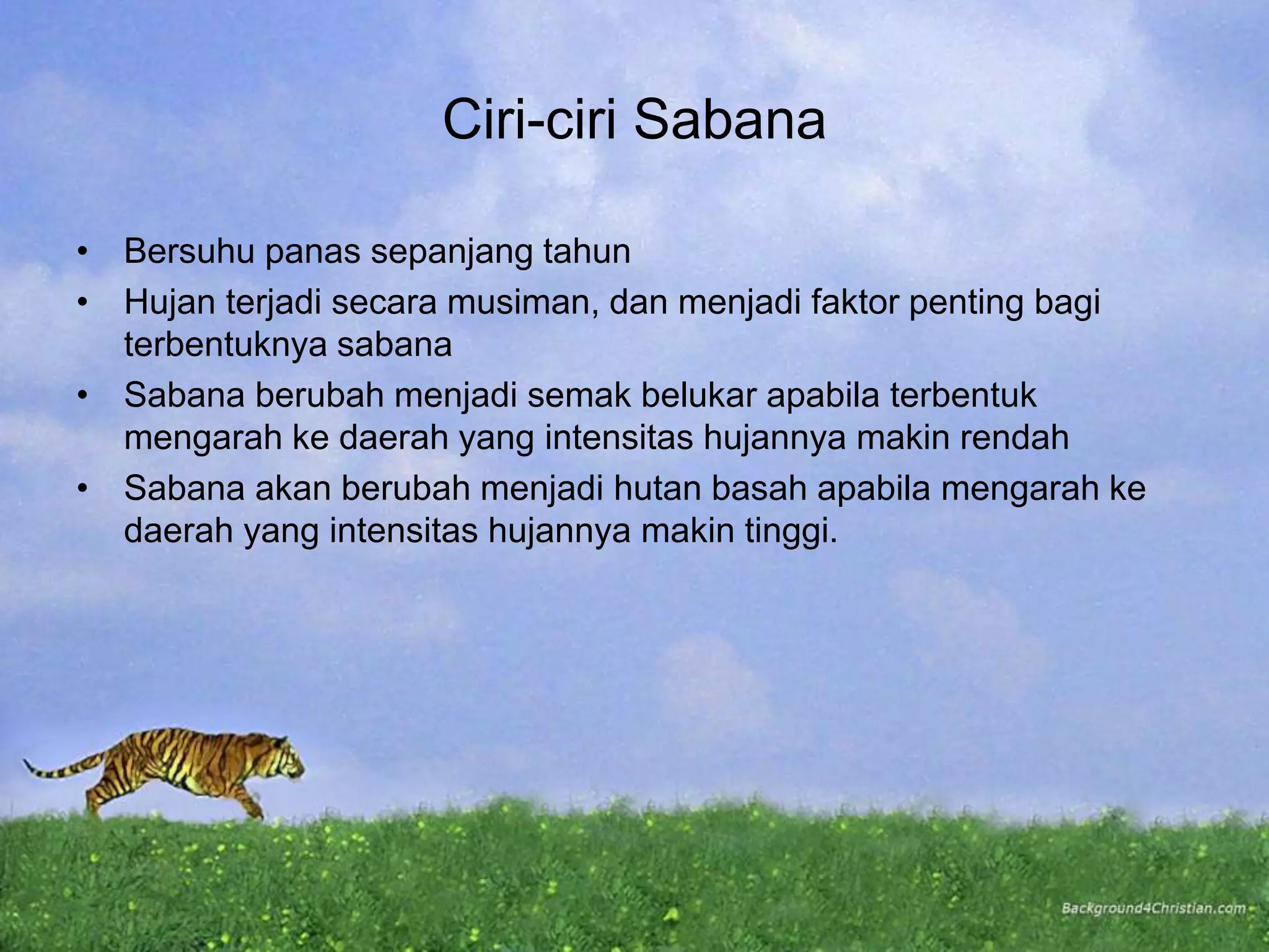 Ciri-ciri Sabana
• Bersuhu panas sepanjang tahun
• Hujan terjadi secara musiman, dan menjadi faktor penting bagi
terbentuknya sabana
• Sabana berubah menjadi semak belukar apabila terbentuk
mengarah ke daerah yang intensitas hujannya makin rendah
• Sabana akan berubah menjadi hutan basah apabila mengarah ke
daerah yang intensitas hujannya makin tinggi.
 