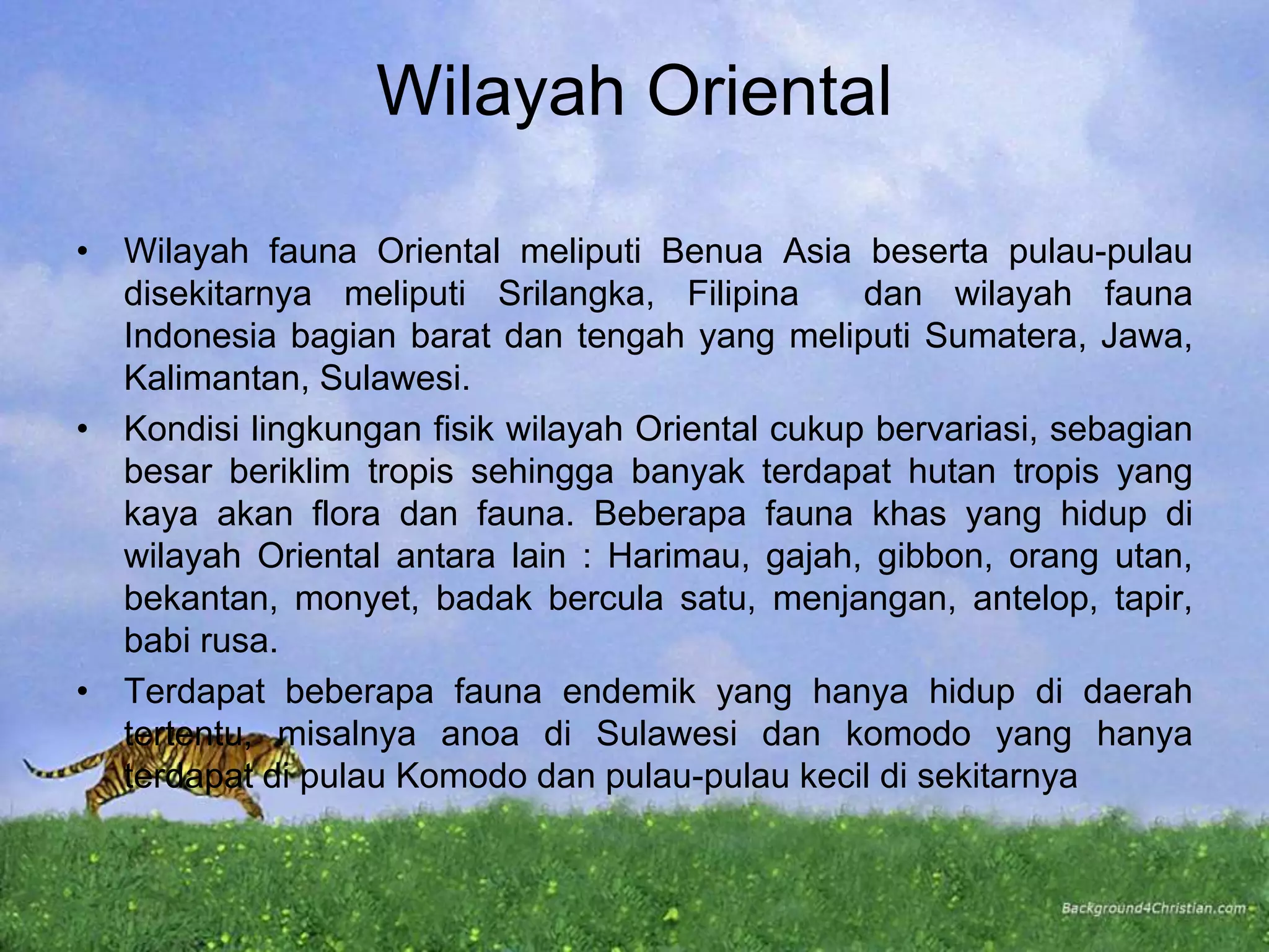Wilayah Oriental
• Wilayah fauna Oriental meliputi Benua Asia beserta pulau-pulau
disekitarnya meliputi Srilangka, Filipina dan wilayah fauna
Indonesia bagian barat dan tengah yang meliputi Sumatera, Jawa,
Kalimantan, Sulawesi.
• Kondisi lingkungan fisik wilayah Oriental cukup bervariasi, sebagian
besar beriklim tropis sehingga banyak terdapat hutan tropis yang
kaya akan flora dan fauna. Beberapa fauna khas yang hidup di
wilayah Oriental antara lain : Harimau, gajah, gibbon, orang utan,
bekantan, monyet, badak bercula satu, menjangan, antelop, tapir,
babi rusa.
• Terdapat beberapa fauna endemik yang hanya hidup di daerah
tertentu, misalnya anoa di Sulawesi dan komodo yang hanya
terdapat di pulau Komodo dan pulau-pulau kecil di sekitarnya
 