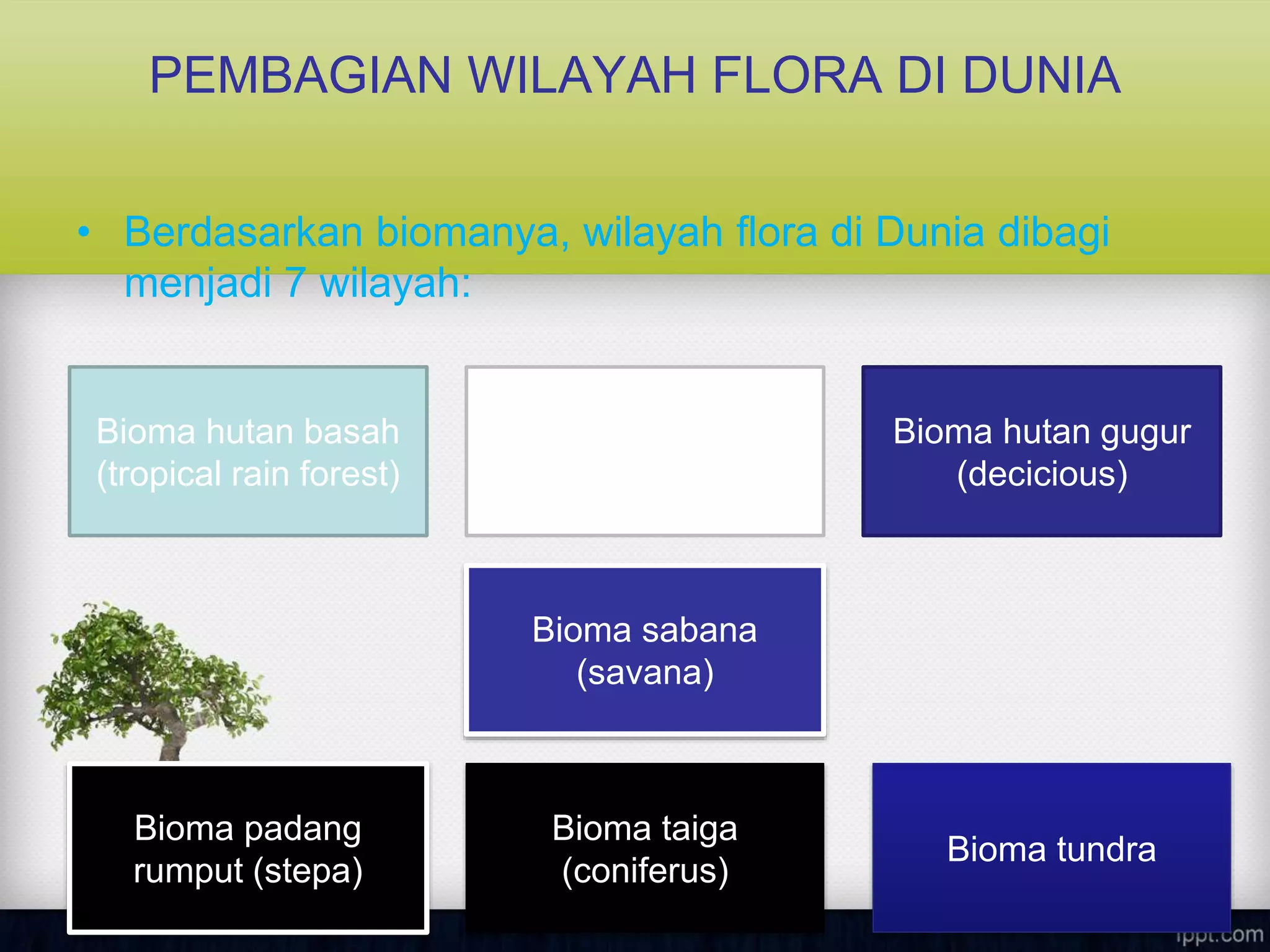 PEMBAGIAN WILAYAH FLORA DI DUNIA
• Berdasarkan biomanya, wilayah flora di Dunia dibagi
menjadi 7 wilayah:
Bioma hutan basah
(tropical rain forest)
Bioma tundra
Bioma taiga
(coniferus)
Bioma padang
rumput (stepa)
Bioma sabana
(savana)
Bioma hutan gugur
(decicious)
Bioma gurun (desert)
 
