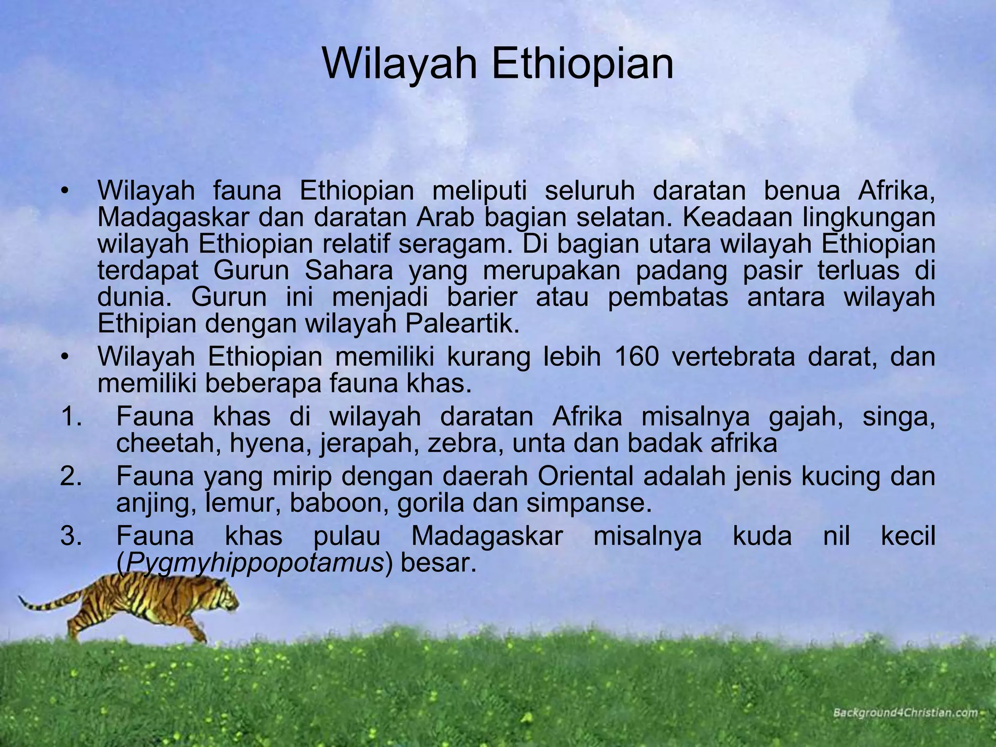 Wilayah Ethiopian
• Wilayah fauna Ethiopian meliputi seluruh daratan benua Afrika,
Madagaskar dan daratan Arab bagian selatan. Keadaan lingkungan
wilayah Ethiopian relatif seragam. Di bagian utara wilayah Ethiopian
terdapat Gurun Sahara yang merupakan padang pasir terluas di
dunia. Gurun ini menjadi barier atau pembatas antara wilayah
Ethipian dengan wilayah Paleartik.
• Wilayah Ethiopian memiliki kurang lebih 160 vertebrata darat, dan
memiliki beberapa fauna khas.
1. Fauna khas di wilayah daratan Afrika misalnya gajah, singa,
cheetah, hyena, jerapah, zebra, unta dan badak afrika
2. Fauna yang mirip dengan daerah Oriental adalah jenis kucing dan
anjing, lemur, baboon, gorila dan simpanse.
3. Fauna khas pulau Madagaskar misalnya kuda nil kecil
(Pygmyhippopotamus) besar.
 