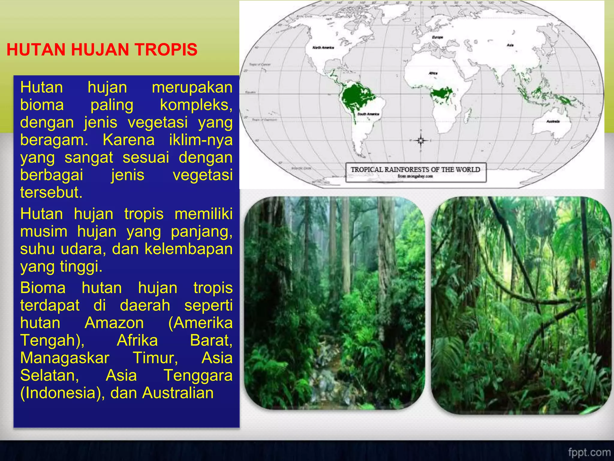 Hutan hujan merupakan
bioma paling kompleks,
dengan jenis vegetasi yang
beragam. Karena iklim-nya
yang sangat sesuai dengan
berbagai jenis vegetasi
tersebut.
Hutan hujan tropis memiliki
musim hujan yang panjang,
suhu udara, dan kelembapan
yang tinggi.
Bioma hutan hujan tropis
terdapat di daerah seperti
hutan Amazon (Amerika
Tengah), Afrika Barat,
Managaskar Timur, Asia
Selatan, Asia Tenggara
(Indonesia), dan Australian
HUTAN HUJAN TROPIS
 
