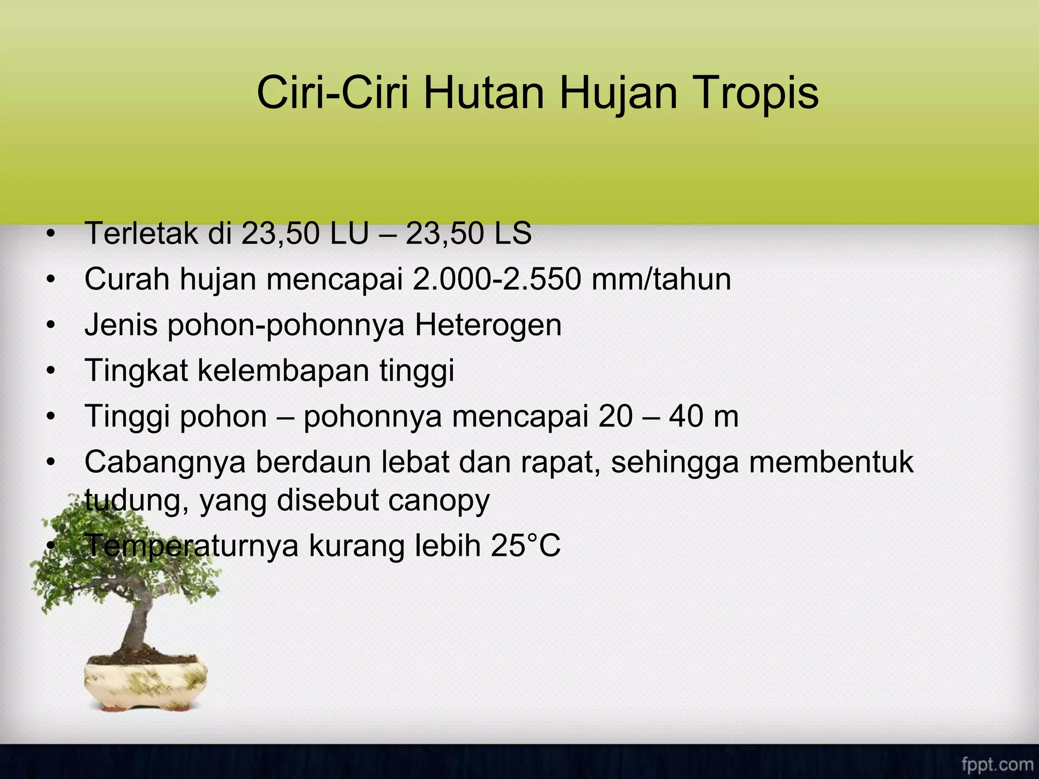 Ciri-Ciri Hutan Hujan Tropis
• Terletak di 23,50 LU – 23,50 LS
• Curah hujan mencapai 2.000-2.550 mm/tahun
• Jenis pohon-pohonnya Heterogen
• Tingkat kelembapan tinggi
• Tinggi pohon – pohonnya mencapai 20 – 40 m
• Cabangnya berdaun lebat dan rapat, sehingga membentuk
tudung, yang disebut canopy
• Temperaturnya kurang lebih 25°C
 