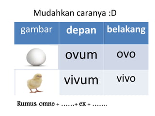 Mudahkan caranya :D
gambar depan belakang
ovum ovo
vivum vivo
Rumus: omne + ……+ ex + …….