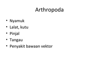 Arthropoda
• Nyamuk
• Lalat, kutu
• Pinjal
• Tangau
• Penyakit bawaan vektor
 