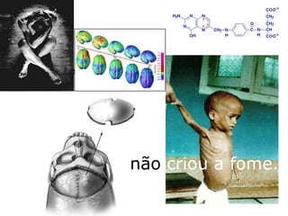 não criou a fome.