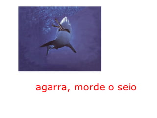 agarra, morde o seio