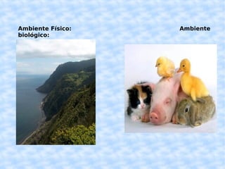 Ambiente Físico: Ambiente biológico: 