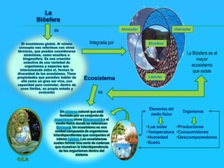 Un sistema natural que está
formado por un conjunto de
organismos vivos (biocenosis) y el
medio físico donde se relacionan
(biotopo). Un ecosistema es una
unidad compuesta de organismos
interdependientes que comparten el
mismo hábitat. Los ecosistemas
suelen formar una serie de cadenas
que muestran la interdependencia
de los organismos dentro del
sistema
es
es
Integrada por
La Biósfera es el
mayor
ecosistema
que existe
Elementos del
medio físico
Organismos
Luz solar
Temperatura
Humedad
Suelo
Productores
Consumidores
Descomponedores
GEA
Hidrósfer
a
Atmósfer
a
Biosfera
Litósfer
a
 
