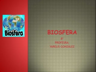 8º 
PROFESRA: 
YARELIS GONZÁLEZ 
 