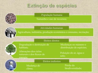 Tamanho e uso de recursos;
Agricultura, indústria, produção económica e consumo, recriação;
Degradação e destruição de
habitats;
Alterações dos ciclos
naturais e dos fluxos de
energia;
Mudanças no número e
distribuição de espécies;
Poluição do ar, água e
solo;
Mudança do
clima;
Perda da
biodiversidade;
Efeitos indiretos
Efeitos diretos
Atividades humanas
População humana
 