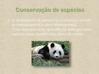  A necessidade de preservar a natureza, tornou-
se indespensável a nível internacional.
O ser humano só se apercebe da falta que uma
espécie causa quando esta deixa de existir.
 
