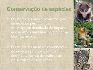  O estudo das áres de conservação
de espécies permite uma
investigação detalhada do impacte
que as ações humanas podem ter na
biodiversidade.
 O estudo das áreas de conservação
de espécies promove ainda o
desenvolvimento de práticas de
preservação dessas zonas.
 