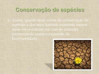  Assim, quanto mais zonas de conservação de
espécies e dos seus habitats existirem menos
seres vivos entram em vias de extinção,
promovendo assim a expansão da
biodiversidade.
 