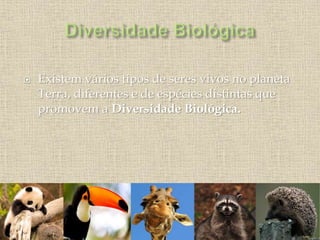  Existem vários tipos de seres vivos no planeta
Terra, diferentes e de espécies distintas que
promovem a Diversidade Biológica.
 