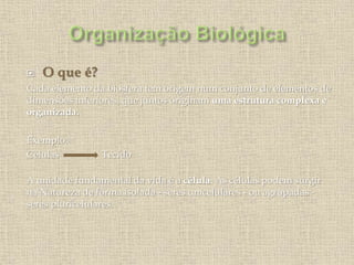 O que é?
Cada elemento da biosfera tem origem num conjunto de elementos de
dimensões inferiores, que juntos originam uma estrutura complexa e
organizada.
Exemplo:
Células Tecido
A unidade fundamental da vida é a célula. As células podem surgir
na Natureza de forma isolada - seres unicelulares - ou agrupadas -
seres pluricelulares.
 